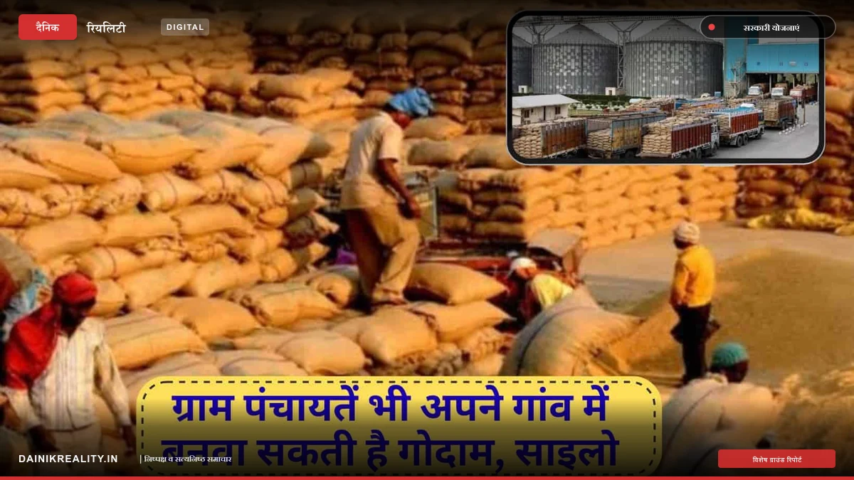 Haryana News: पंचायत के पास है जमीन तो बनवाएं अनाज गोदाम और साइलो, सरकार की योजना शुरू
